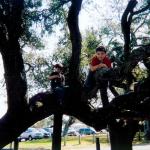Noah and Bryan up a tree