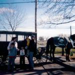 With an Amish horse and buggy