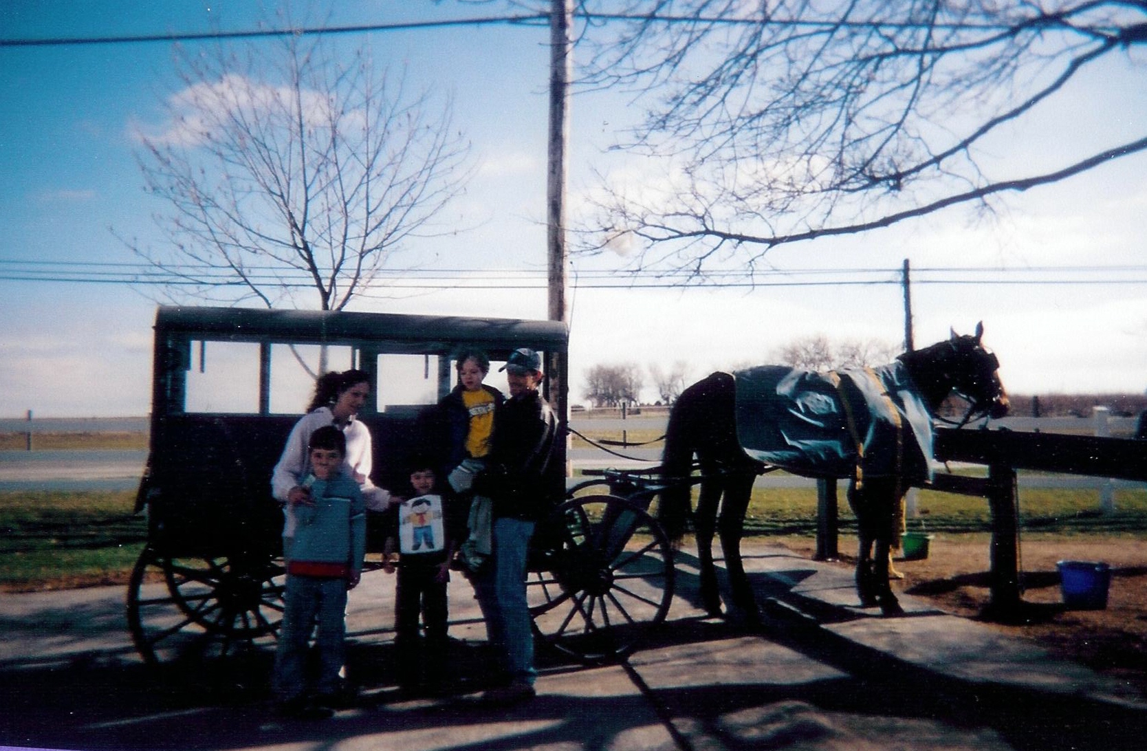 With an Amish horse and buggy