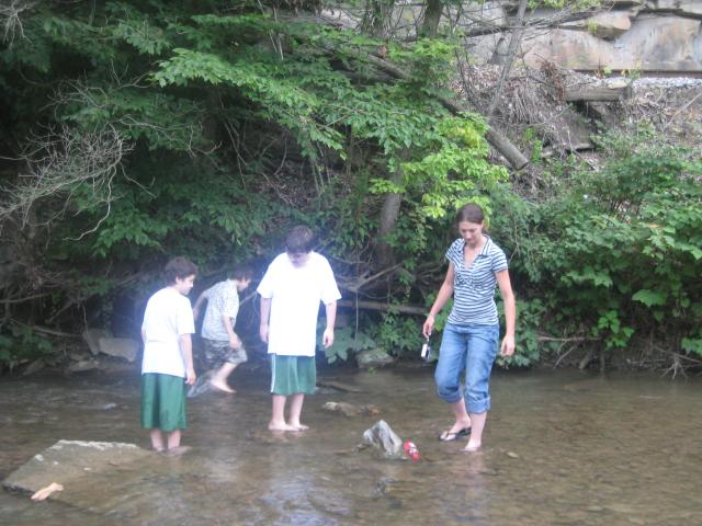 Wading The Creek