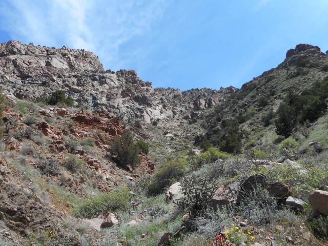 View along Tunnel Drive Trail