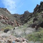 View along Tunnel Drive Trail