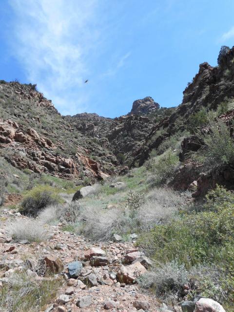 View along Tunnel Drive Trail