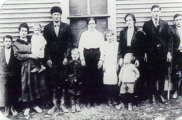Parsley Family